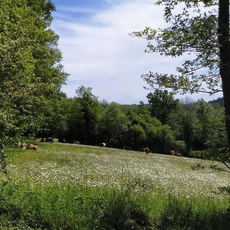 Carazen , Caravane Chauffee Saint-Sylvain-Bellegarde Dış mekan fotoğraf